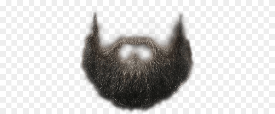 Perfect Hipster Beard, Face, Head, Person, Animal Free Png Download
