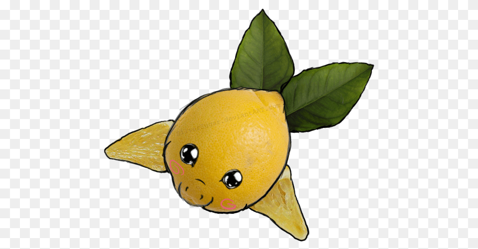 Perfect Lemon Seal, Citrus Fruit, Food, Fruit, Plant Png Image