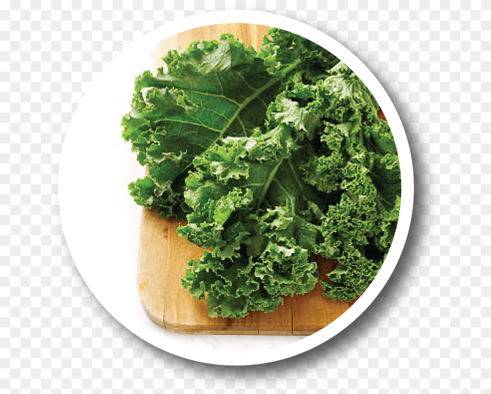 Performance Recipes Health Benefits Of Kale, Food, Leafy Green Vegetable, Plant, Produce Png