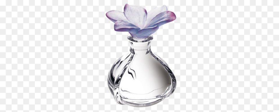 Perfume, Flower, Jar, Petal, Plant Free Png