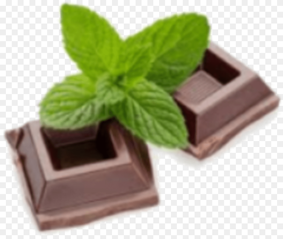 Perfume De Chocolate Y Menta, Herbs, Mint, Plant Png Image