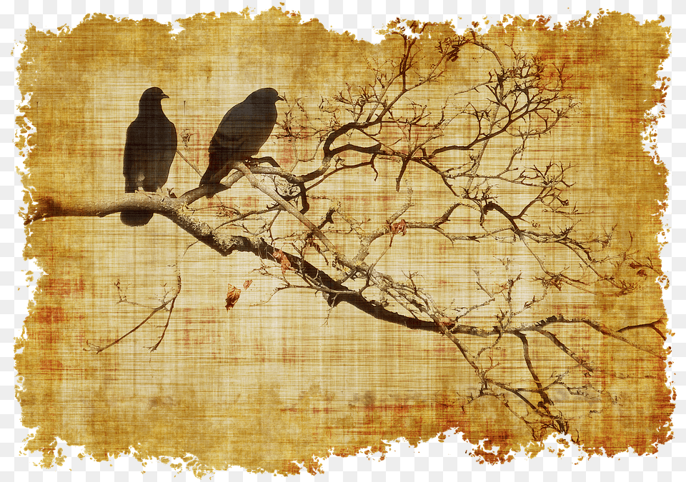Pergaminos Antiguos Para Escribir, Animal, Bird, Vulture, Blackbird Free Transparent Png
