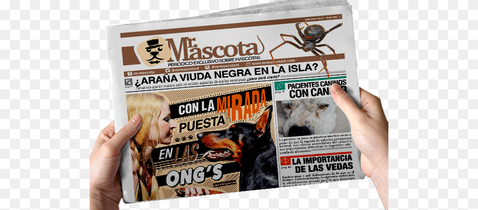 Peridico Mr Mascota Companion Dog, Text, Newspaper, Adult, Person Png