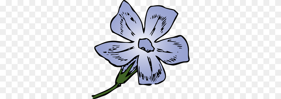 Periwinkle Anther, Flower, Plant, Petal Png