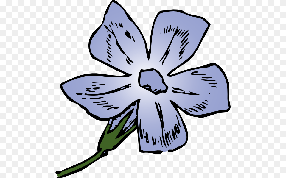 Periwinkle Bloom Clipart For Web, Flower, Plant, Petal, Anemone Free Transparent Png