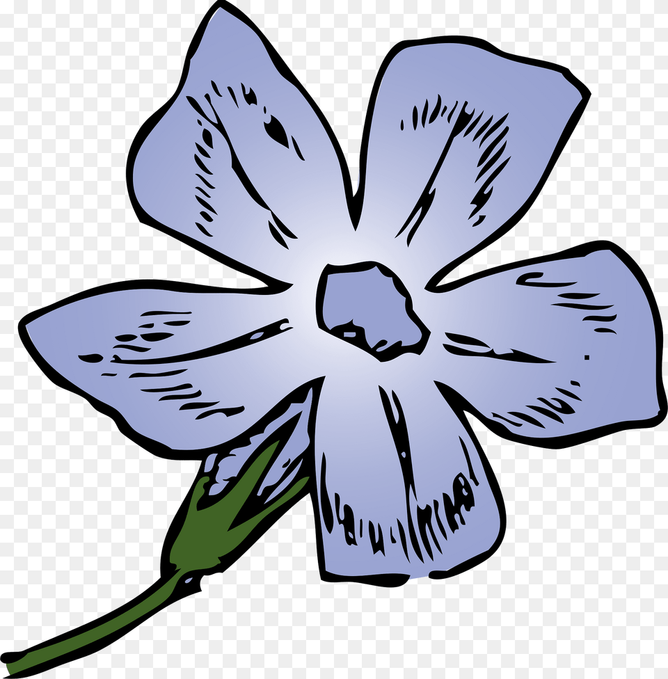 Periwinkle Clipart, Flower, Plant, Petal, Anemone Png