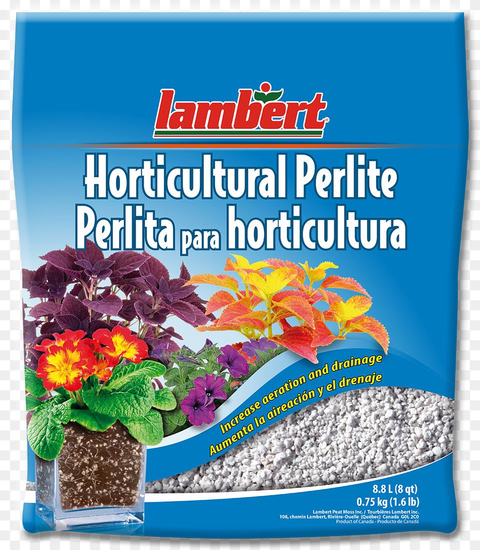 Perlite Horticulture, Herbal, Herbs, Plant, Potted Plant Png