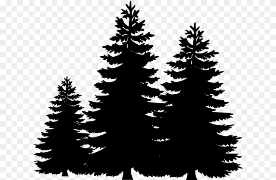 Permalink To Pine Tree Clip Art Winter Clipart Transparent Pine Tree Silhouette, Gray Free Png Download