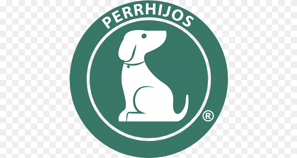 Perrhijos Dog Catches Something, Animal, Bear, Mammal, Wildlife Free Png
