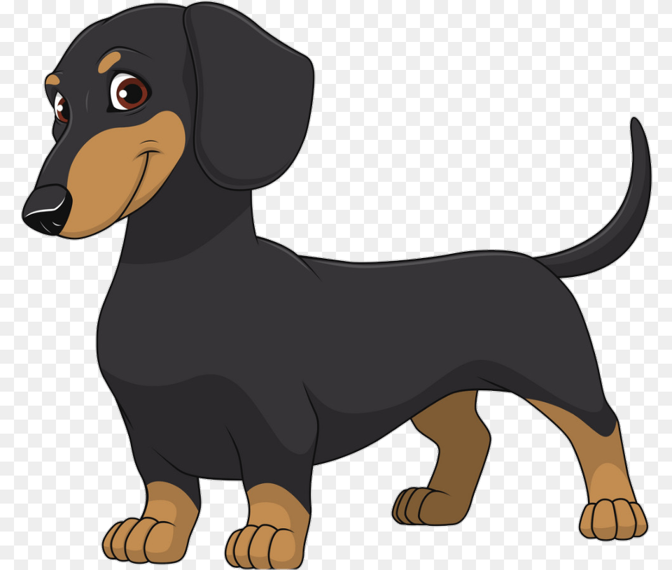 Perro Perrito Perritos Dog Doggy Pet Pets Dachshund Clipart, Snout, Animal, Canine, Hound Png Image