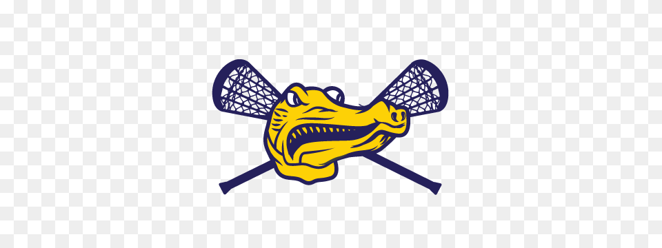 Perry Hall Girls Lacrosse Gt Home, People, Person, Smoke Pipe, Baseball Free Transparent Png