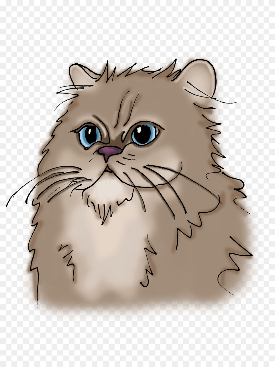 Persian British Longhair, Baby, Person, Art, Drawing Free Png