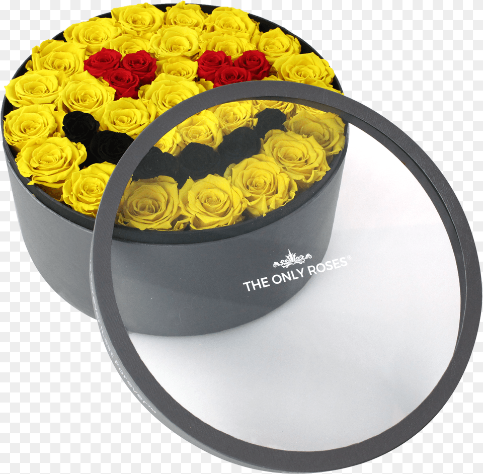 Persian Buttercup, Rose, Plant, Flower, Flower Arrangement Free Png Download