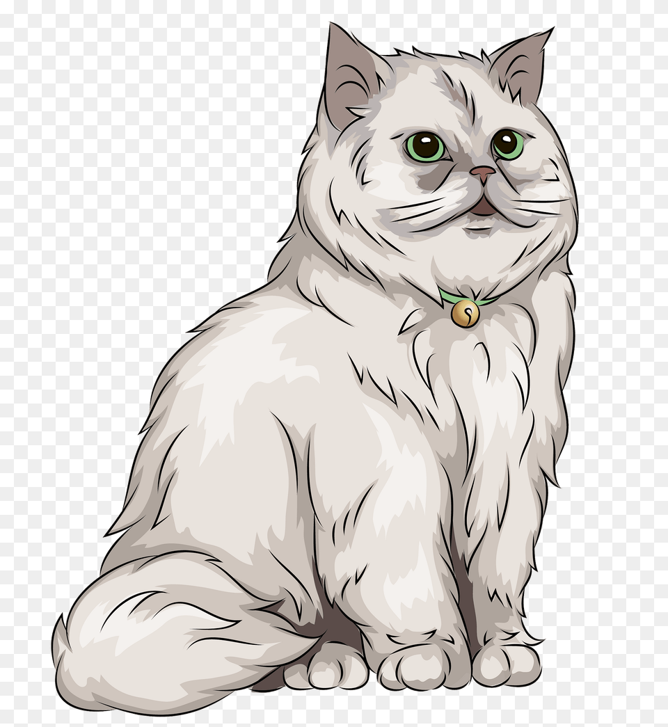 Persian Cat Clipart, Art, Drawing, Animal, Mammal Free Png