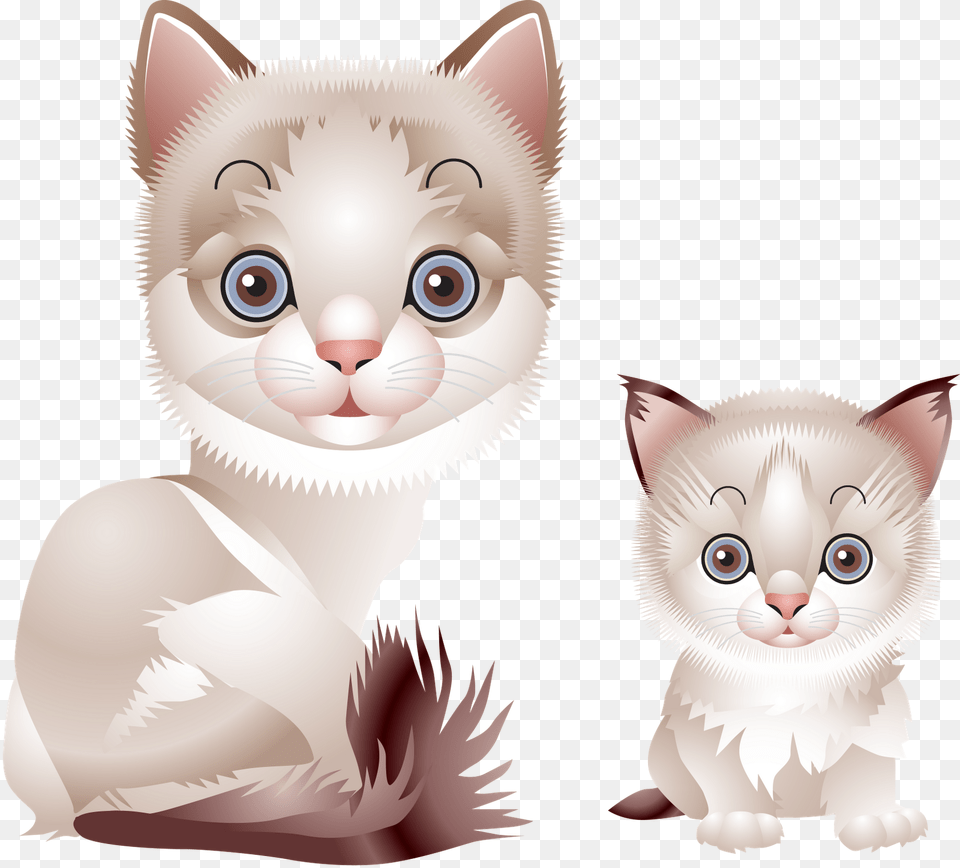 Persian Cat Clipart Rag Doll Cat Vector, Animal, Kitten, Mammal, Pet Png Image