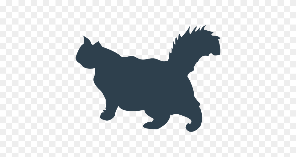 Persian Cat Silhouette, Animal, Mammal, Pet, Canine Png