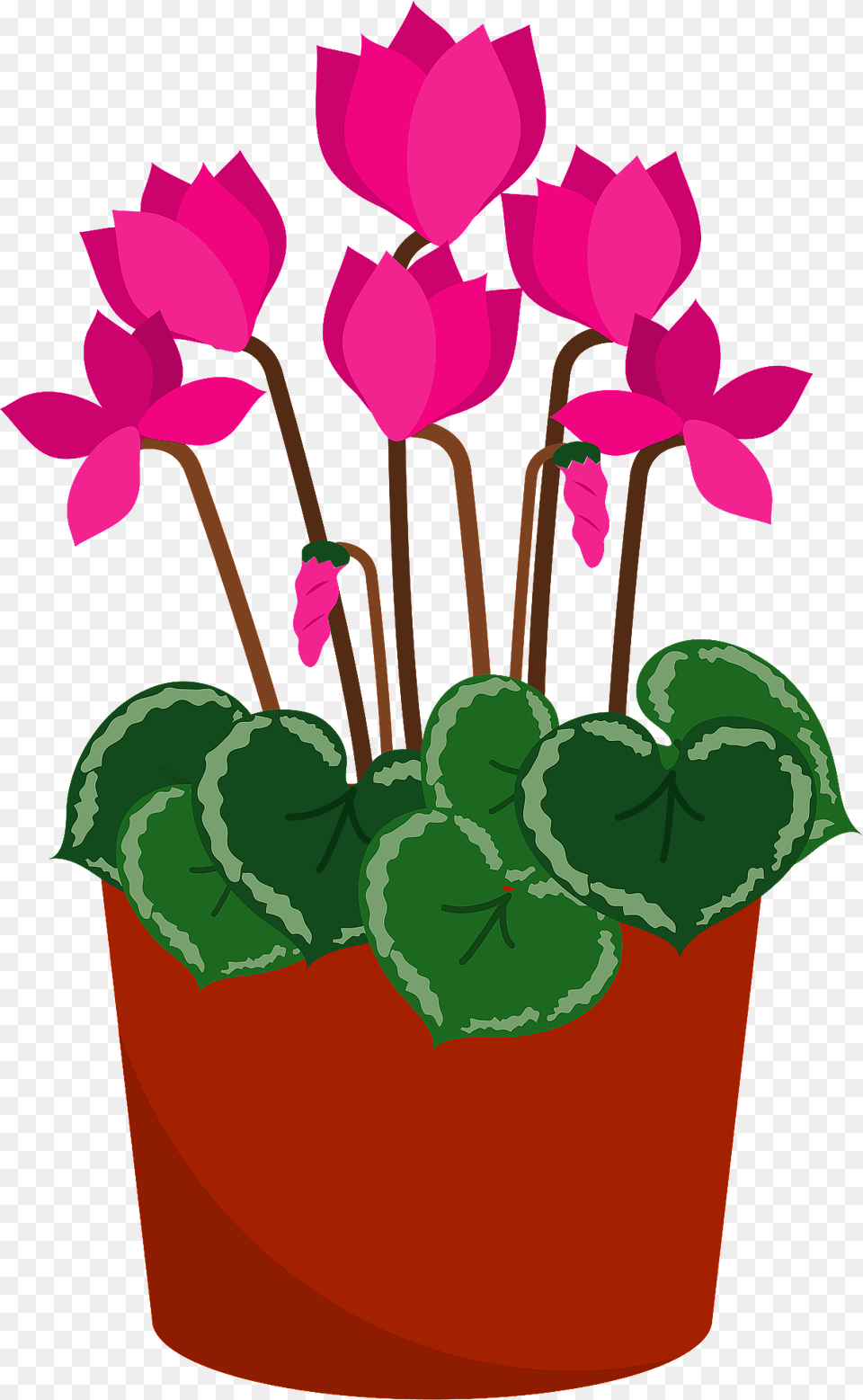Persian Cyclamen Flower Clipart, Geranium, Plant, Potted Plant, Jar Free Png Download
