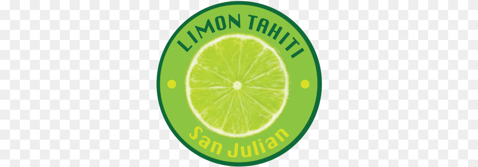 Persian Lime, Citrus Fruit, Food, Fruit, Plant Free Transparent Png