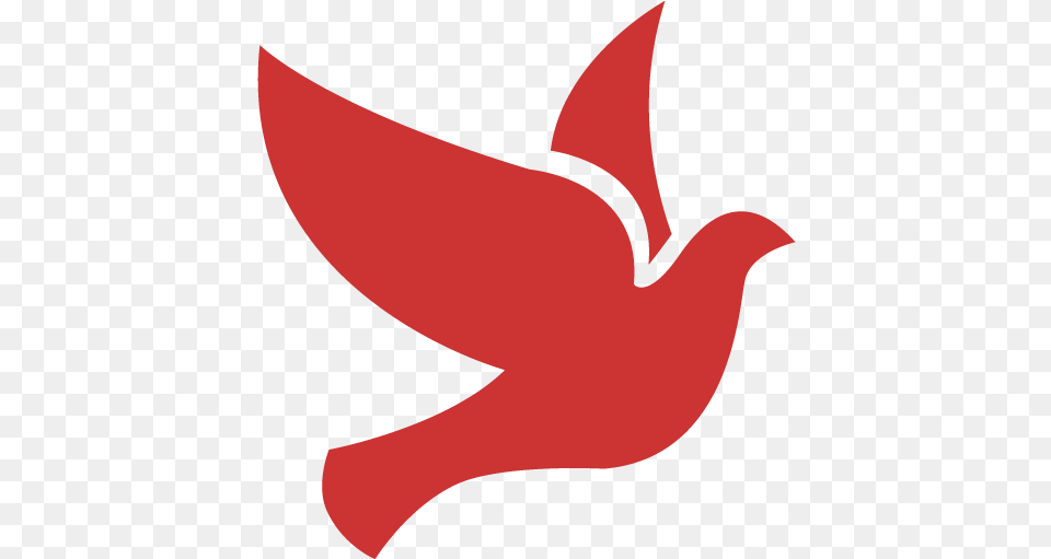 Persian Red Bird 2 Icon Blue Bird Icon, Animal, Beak Free Png Download