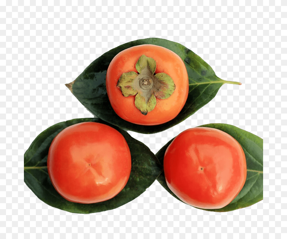 Persimmon, Food, Fruit, Plant, Produce Free Png Download