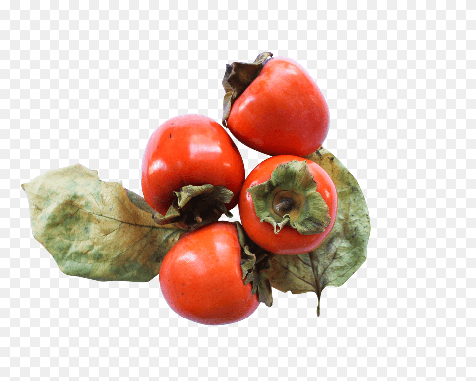 Persimmon, Food, Fruit, Plant, Produce Free Transparent Png