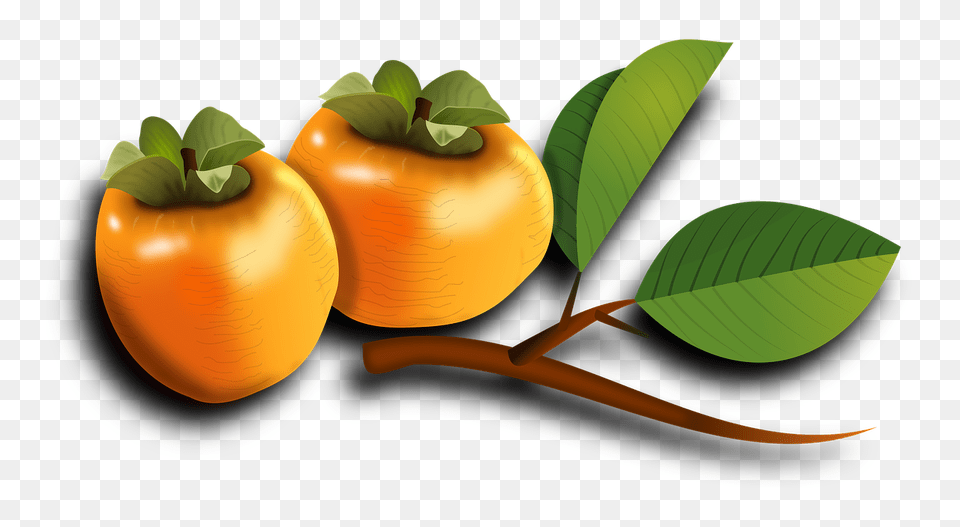 Persimmon, Food, Fruit, Plant, Produce Free Transparent Png