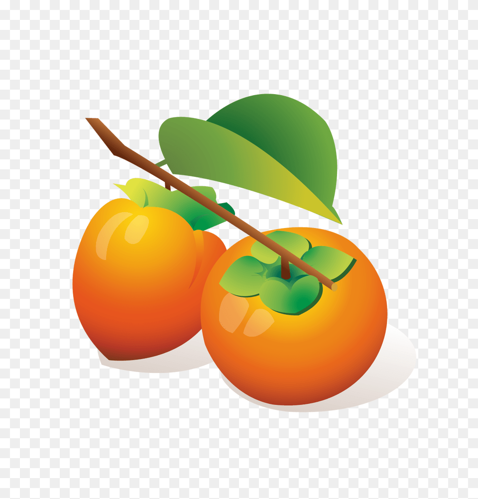 Persimmon, Food, Fruit, Plant, Produce Free Png