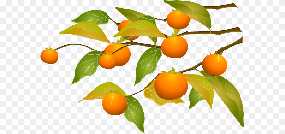 Persimmon Cartoon Orange Tree, Food, Fruit, Plant, Produce Free Transparent Png