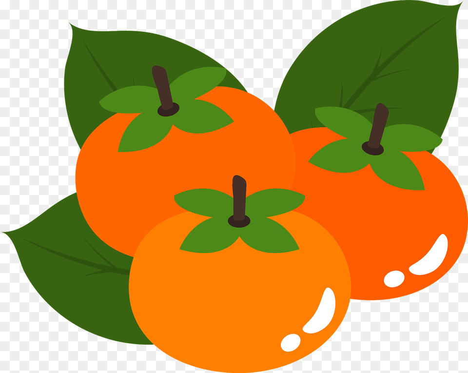 Persimmon Clipart, Citrus Fruit, Food, Fruit, Orange Png Image