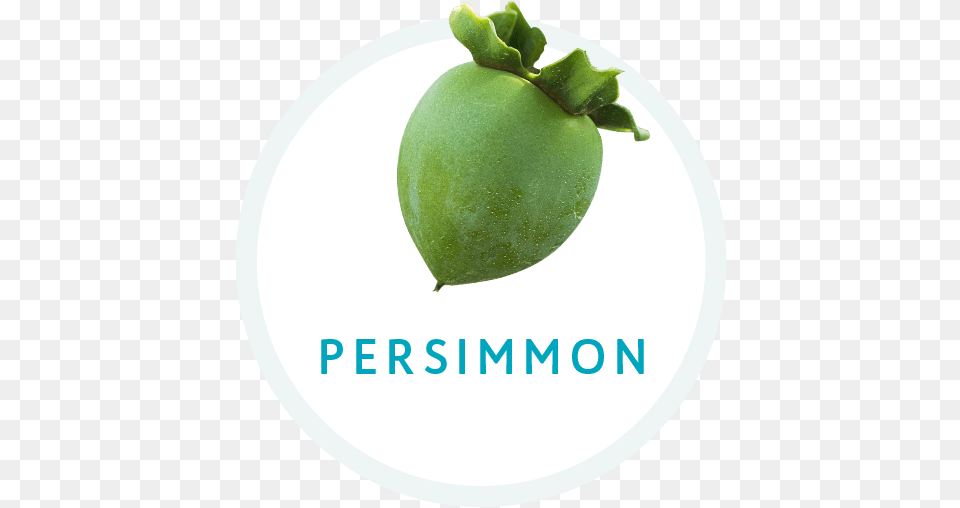 Persimmon Seedless Fruit, Food, Plant, Produce, Plate Png Image