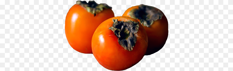 Persimmon Single Fruit, Food, Plant, Produce, Animal Png Image