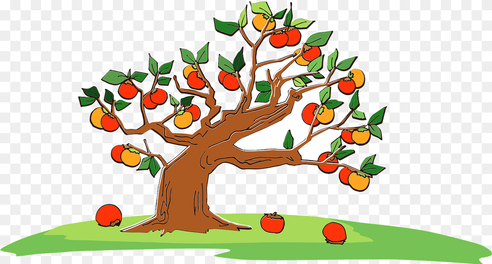 Persimmon Tree Clipart, Food, Fruit, Plant, Produce Png