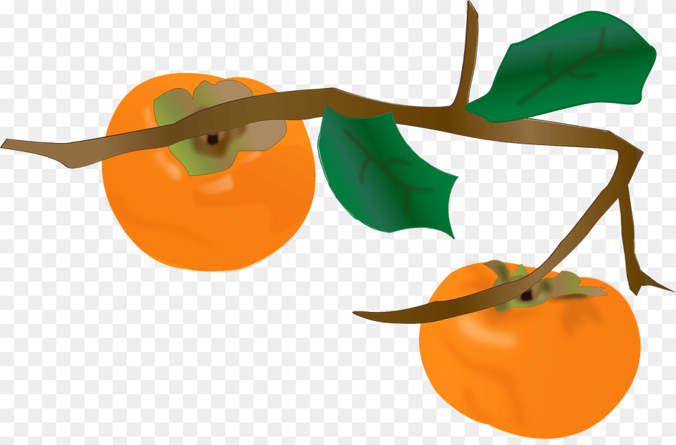 Persimmons On The Tree Clipart, Food, Fruit, Plant, Produce Free Transparent Png