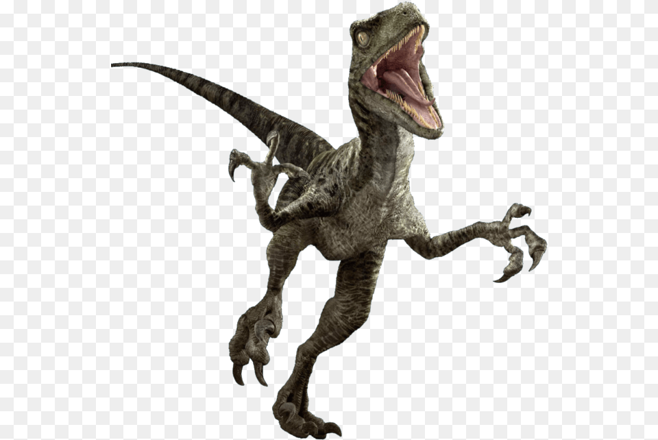 Persistent Jurassic World Dinosaur, Animal, Reptile, T-rex Free Png