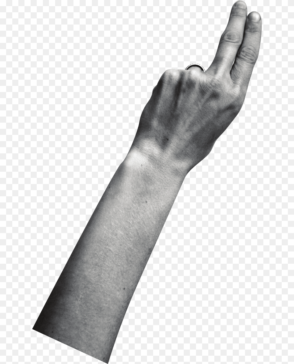 Person Aesthetic, Body Part, Hand, Wrist, Adult Free Png