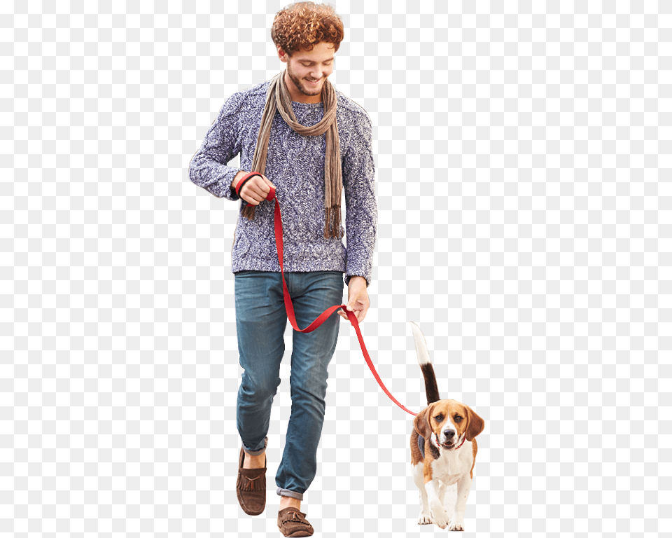 Person Dog, Accessories, Man, Male, Strap Png Image