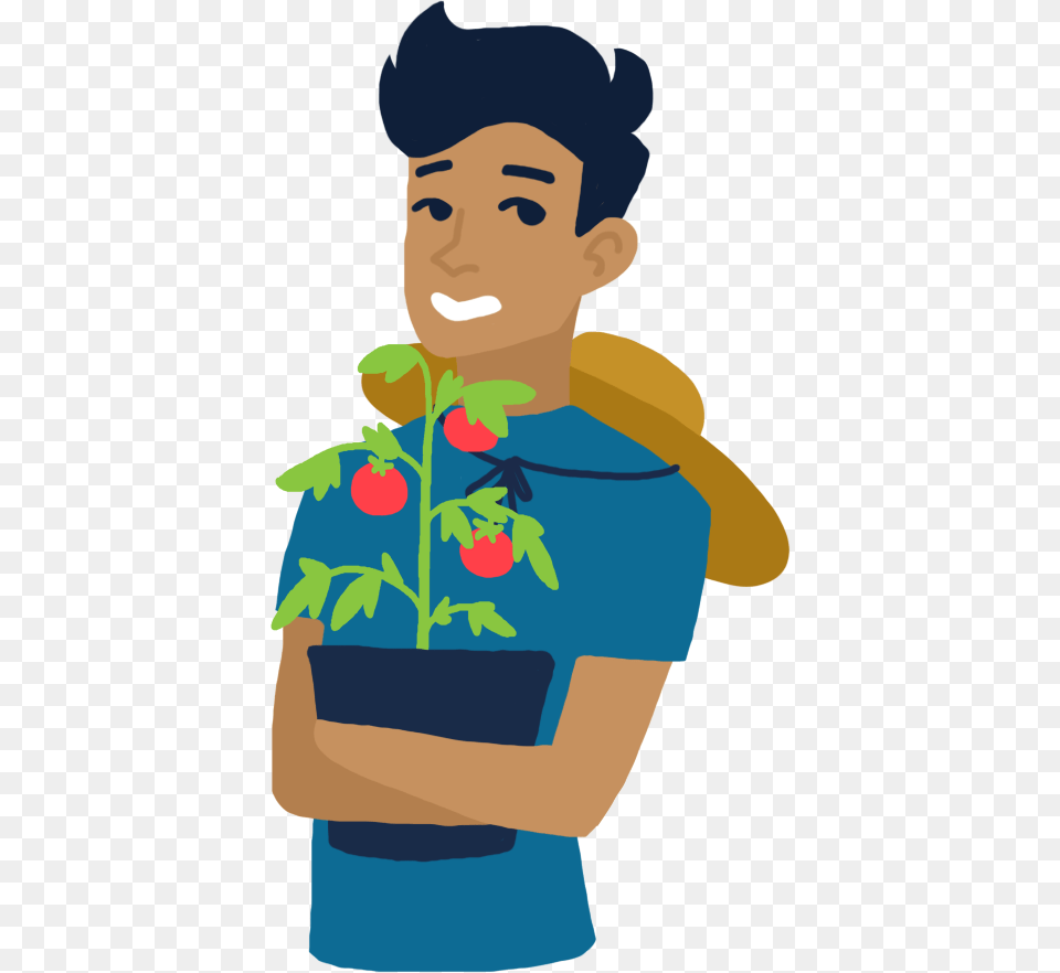 Person Holding Tomato Plant Cartoon, Herbal, Outdoors, Nature, Herbs Free Transparent Png