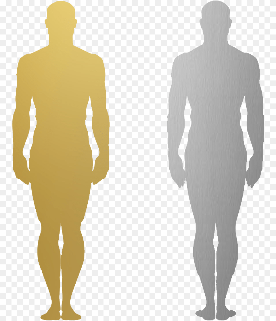 Person Standing Back, Silhouette, Clothing, Long Sleeve, Sleeve Free Png Download