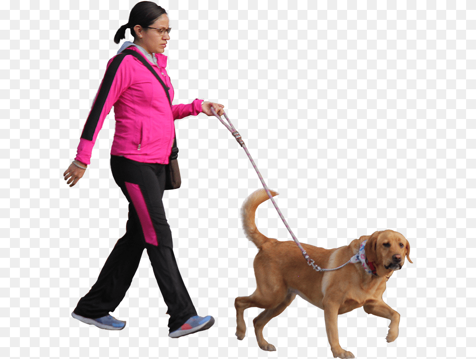 Person Walking A Dog, Teen, Pet, Mammal, Girl Free Png