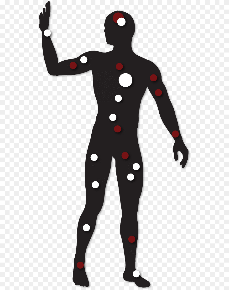 Person With Markings Of Endocannabinoid Receptors In, Adult, Male, Man, Performer Free Png