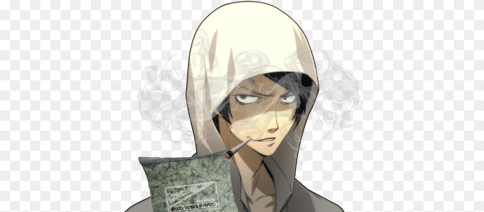 Persona 5 Yusuke Portrait, Adult, Publication, Person, Woman Free Png Download