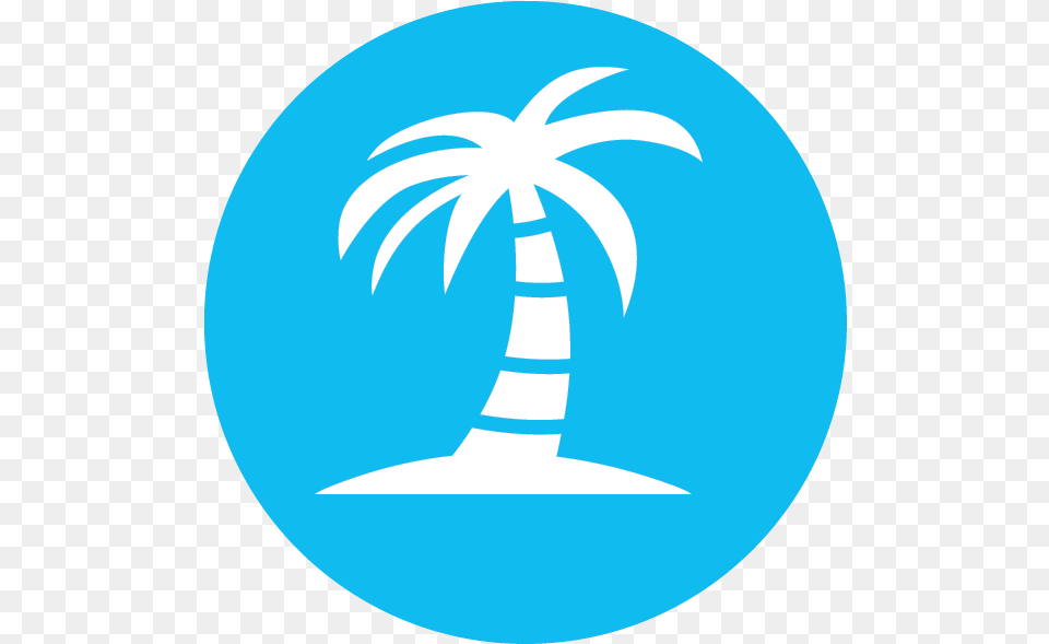 Personal Assistant Icon Transparent Tour Management Icon, Palm Tree, Plant, Tree, Outdoors Png Image