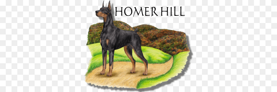 Personal Logos Dobermann, Animal, Canine, Dog, Mammal Png Image