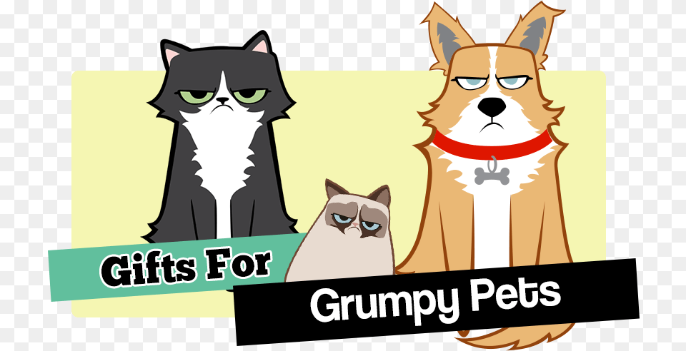 Personalised Grumpy Cat For Pets Cartoon, Baby, Person, Animal, Mammal Free Transparent Png