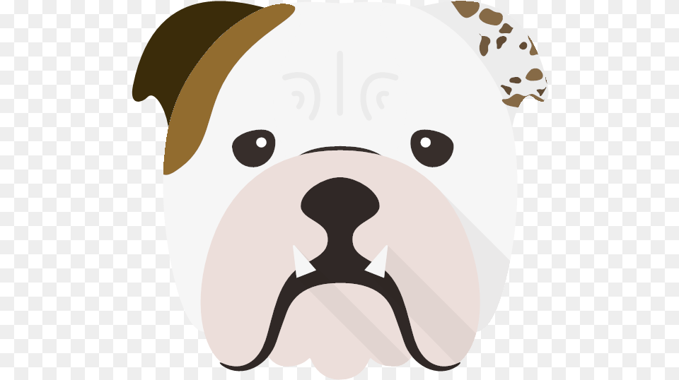 Personalized English Bulldog Wrapping Soft, Animal, Pet, Mammal, Dog Free Png Download