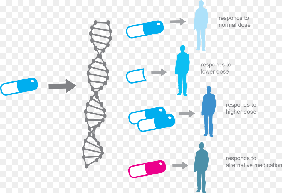 Personalized Medicine, Person Free Transparent Png