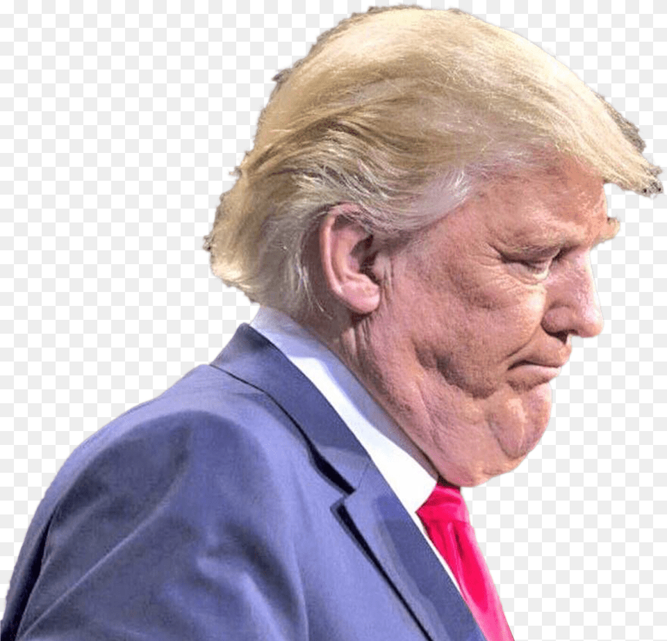 Personunflattering Picture Of Donald Trump People Who Look Like Bullfrogs Free Png Download