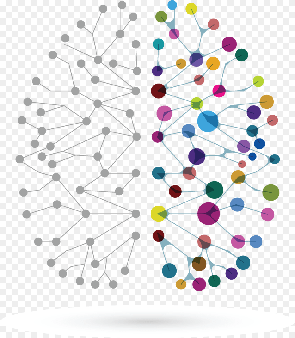 Perth Brain Centre Brains, Chandelier, Lamp, Network, Paper Png Image