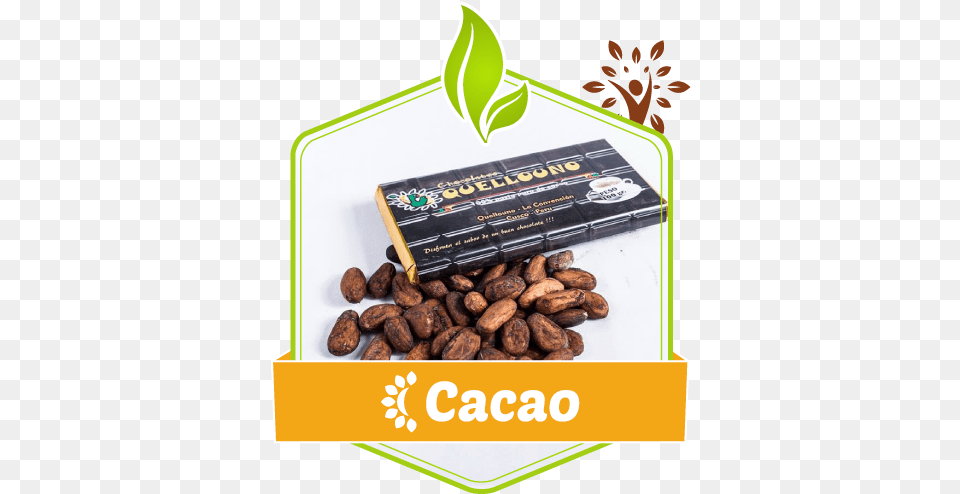 Peruvian Cacao Is A Product Originative From Our Amazon Chocolate, Cocoa, Dessert, Food, Produce Free Transparent Png