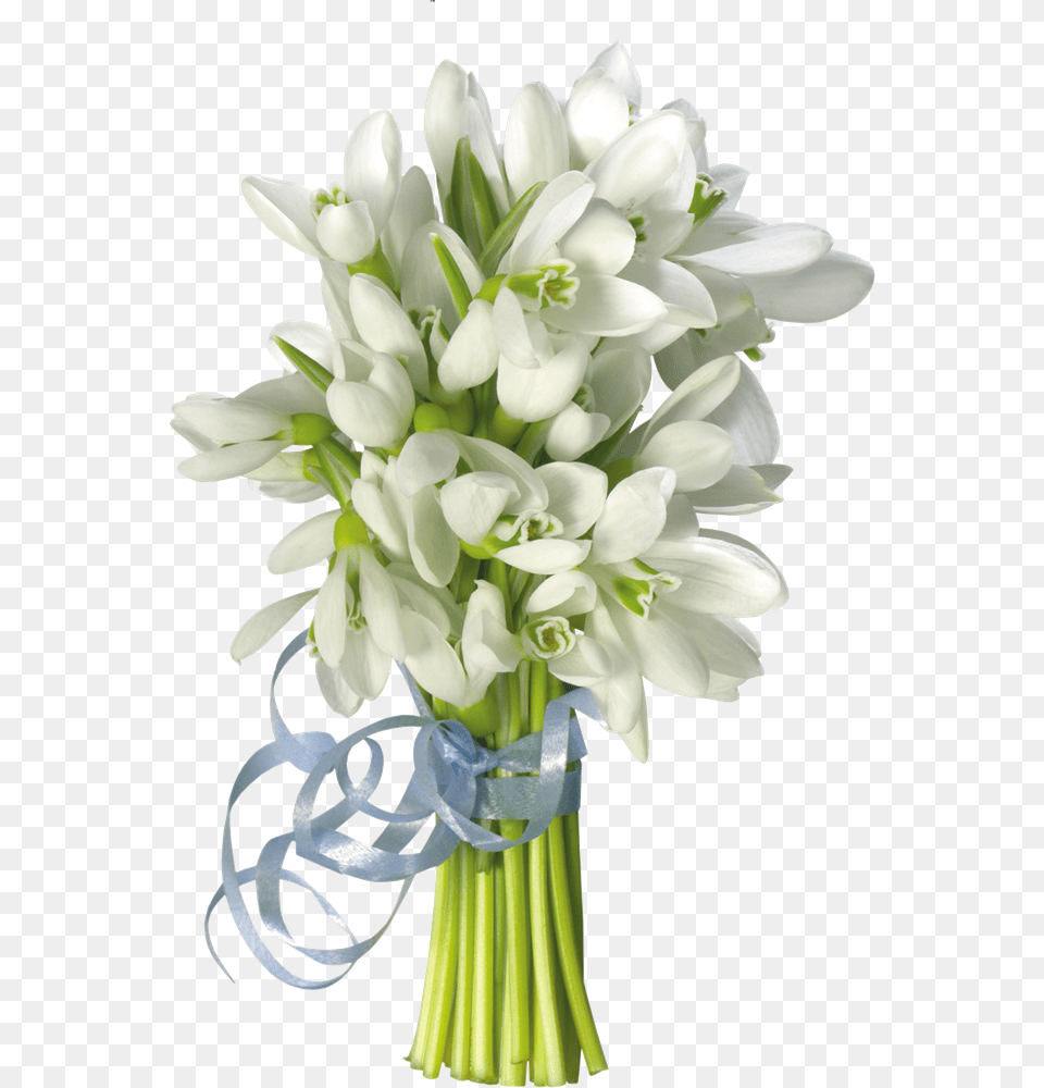 Pervim Dnem Vesni, Flower, Flower Arrangement, Flower Bouquet, Plant Png Image